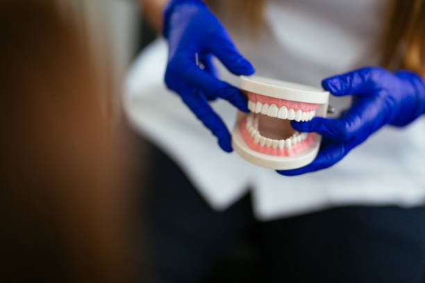 Best Dentures (Full and Partial)  in Silver Summit, UT